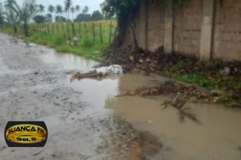 Homem é encontrado morto, no Loteamento Três Marias, em Carpina