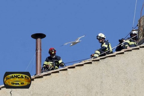Chaminé que anunciará novo papa é instalada na Capela Sistina.