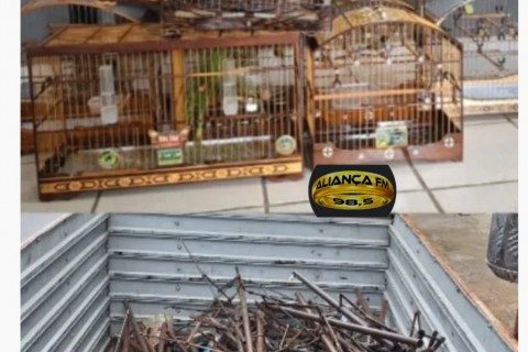 Em Carpina: Operação flagra torneio ilegal de pássaros e apreende aves silvestres.